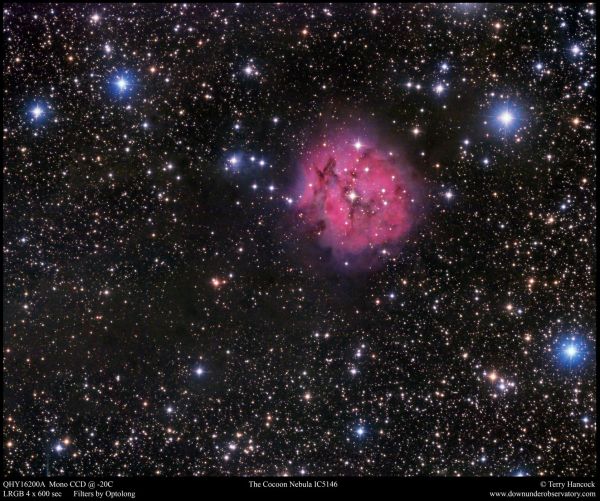 \"cocoon-nebula-39\"